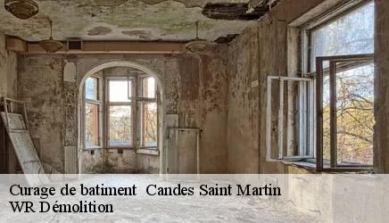 Curage de batiment candes-saint-martin-37500 WR Démolition