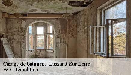 Curage de batiment lussault-sur-loire-37400 WR Démolition