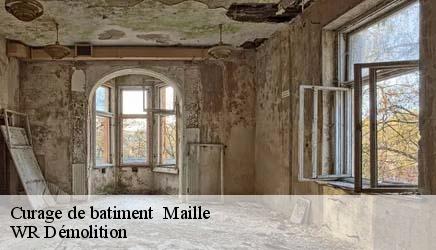 Curage de batiment   maille-37800 WR Démolition