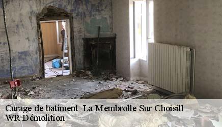 Curage de batiment   la-membrolle-sur-choisill-37390 WR Démolition