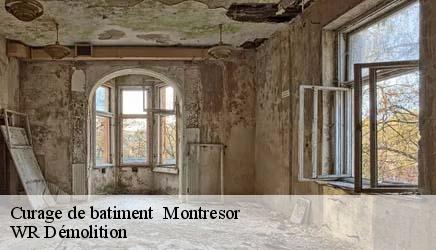 Curage de batiment montresor-37460 WR Démolition