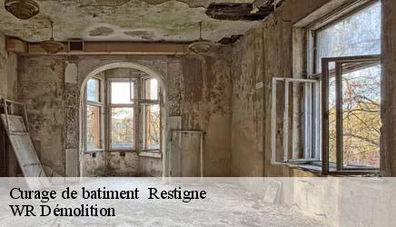 Curage de batiment   restigne-37140 WR Démolition