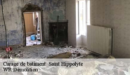 Curage de batiment   saint-hippolyte-37600 WR Démolition