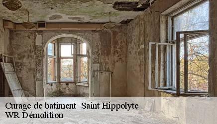Curage de batiment saint-hippolyte-37600 WR Démolition