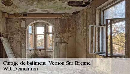 Curage de batiment vernou-sur-brenne-37210 WR Démolition