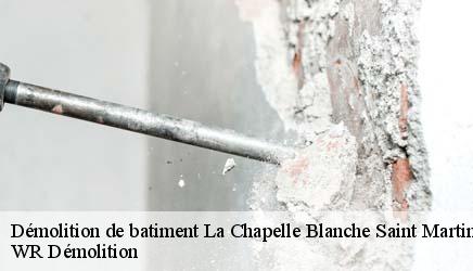 Démolition de batiment  la-chapelle-blanche-saint-martin-37240 WR Démolition