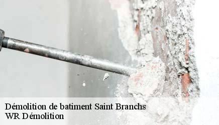 Démolition de batiment  saint-branchs-37320 WR Démolition