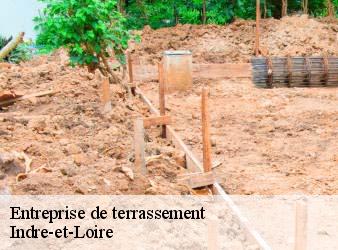 Entreprise de terrassement 37 Indre-et-Loire  WR Démolition