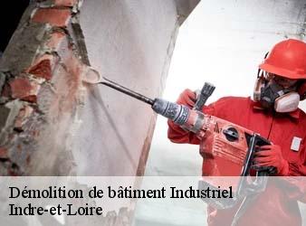 Démolition de bâtiment Industriel 37 Indre-et-Loire  WR Démolition