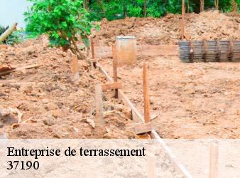 Entreprise de terrassement  azay-le-rideau-37190 WR Démolition