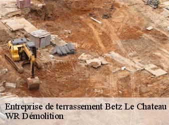 Entreprise de terrassement  betz-le-chateau-37600 WR Démolition
