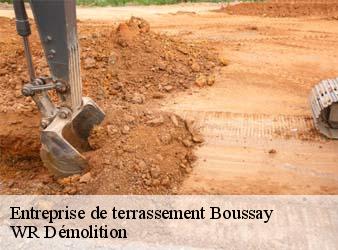 Entreprise de terrassement  boussay-37290 WR Démolition