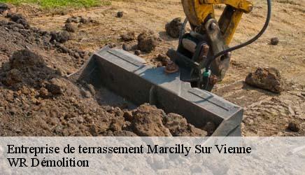 Entreprise de terrassement  marcilly-sur-vienne-37800 WR Démolition