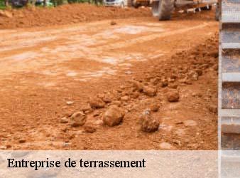 Entreprise de terrassement  saint-aubin-le-depeint-37370 WR Démolition