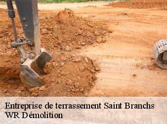 Entreprise de terrassement  saint-branchs-37320 WR Démolition