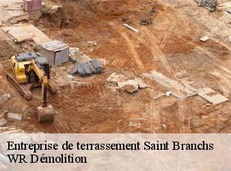 Entreprise de terrassement  saint-branchs-37320 WR Démolition