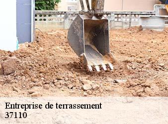 Entreprise de terrassement  saunay-37110 WR Démolition