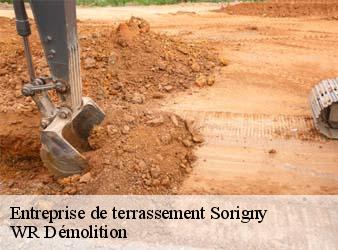 Entreprise de terrassement  sorigny-37250 WR Démolition