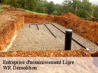 Entreprise d'assainissement  ligre-37500 WR Démolition
