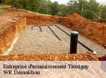 Entreprise d'assainissement  tauxigny-37310 WR Démolition